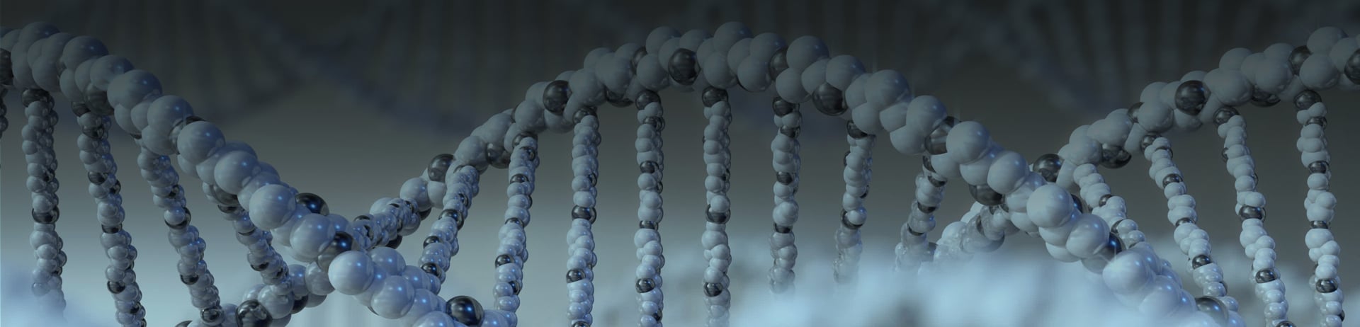 lp-banner-amwa-insights